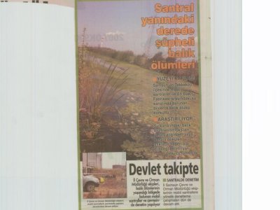 SANTRAL YANINDAKİ DEREDE ŞÜPHELİ BALIK ÖLÜMLERİ