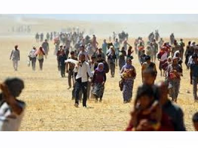 TMMOB İKKDAN ŞENGALE İNSANI YARDIM KAMPANYASI