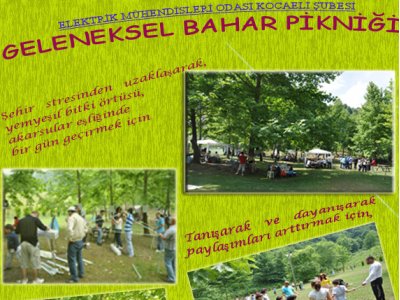 GELENEKSEL ŞUBE PİKNİĞİ