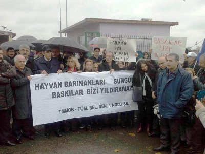 FATİH BELEDİYESİ HAYVAN BARINAĞINDA YAŞANAN SÜRGÜN VE MOBBİNG UYGULAMALARI PROTESTO EDİLDİ