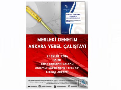 MESLEKİ  DENETİM ANKARA YEREL ÇALIŞTAYI DÜZENLENECEK