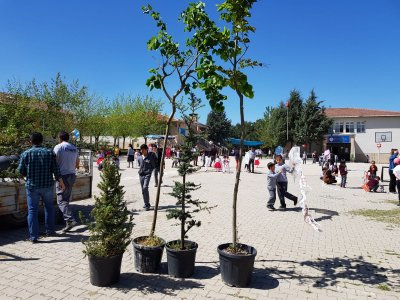 `AĞAÇ DİKME VE KİTAP DAĞITIMI`