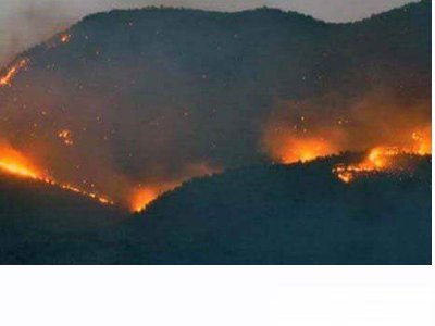 DERSİM 12 GÜNDÜR YANIYOR. HABERİNİZ VAR MI!