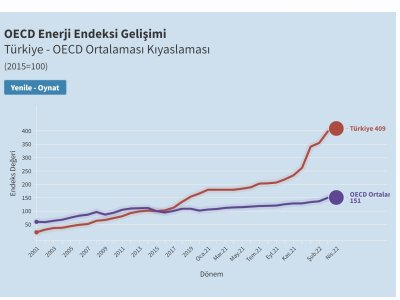 OECD VERİLERİ ZAM GEREKÇELERİNİ YALANLIYOR