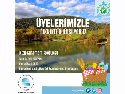 PİKNİKTE BULUŞUYORUZ