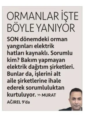 ORMAN YANGINLARININ SEBEBİ DAĞITIM ŞİRKETLERİ Mİ? (CUMHURİYET-MURAT AĞIREL)